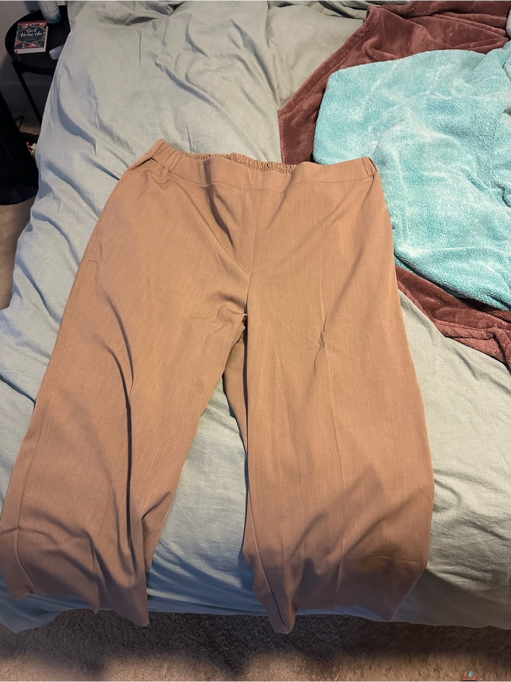 Lane Bryant Straight Leg Pants in Light Brown/Tan
